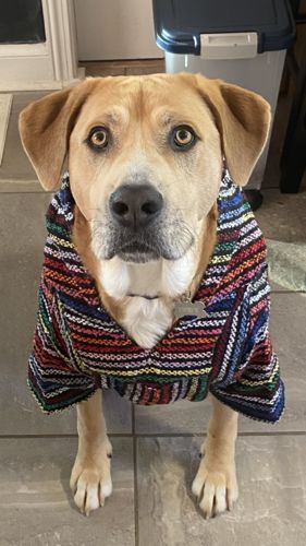 Customer photo review of Playa Poncho