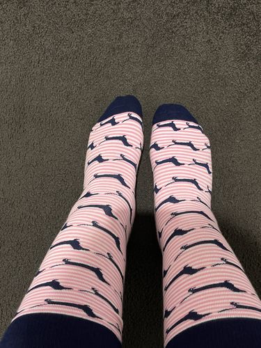 Customer photo review of Pink Stripe Dachies