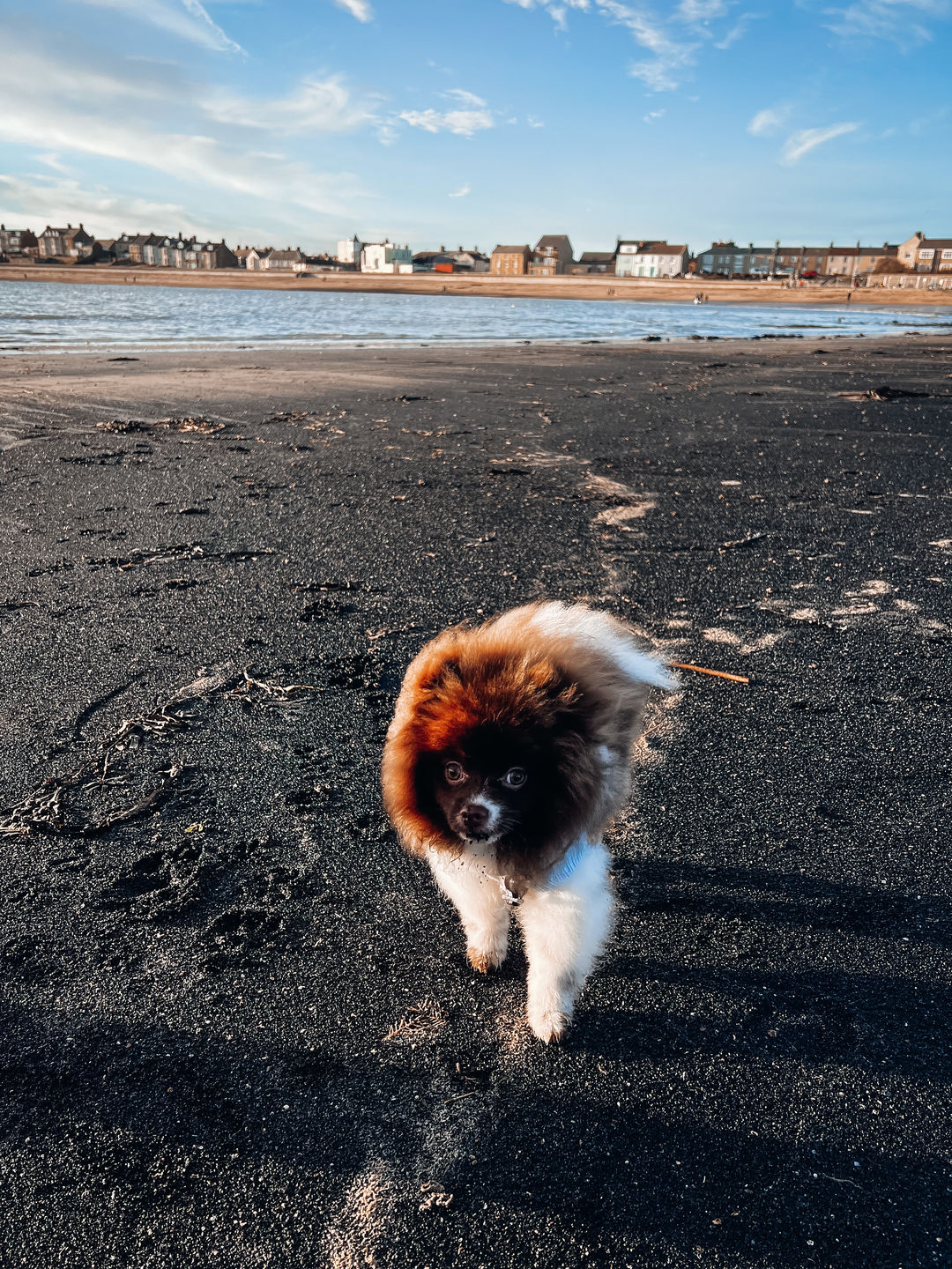 Customer photo review of NATURE LIGHTROOM PRESETS