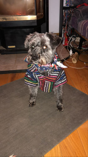 Customer photo review of Playa Poncho