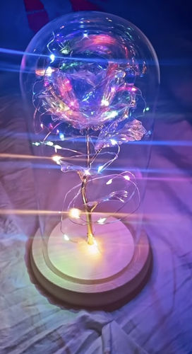 Customer photo review of Galaxy Rose