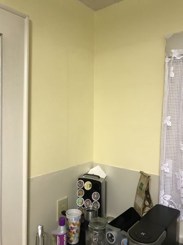 Customer photo review of Mollie Yellow - One Step Paint