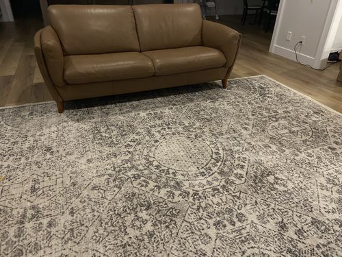 Customer photo review of Versailles Winter Gray Rug