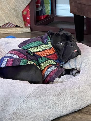 Customer photo review of Playa Poncho