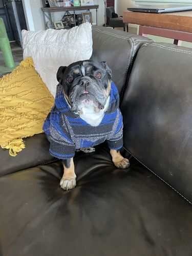 Customer photo review of Playa Poncho