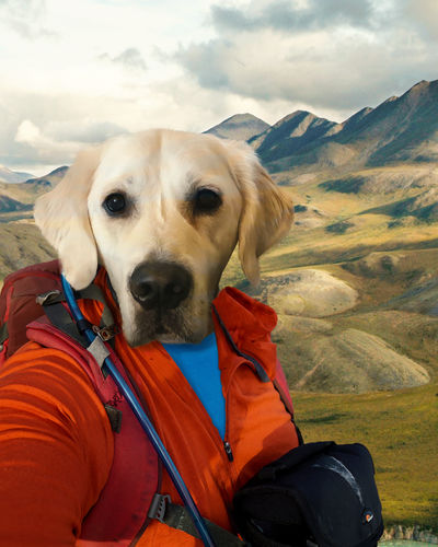 Customer photo review of The Hiker - Custom Pet Portrait