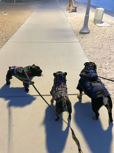 Customer photo review of Playa Poncho