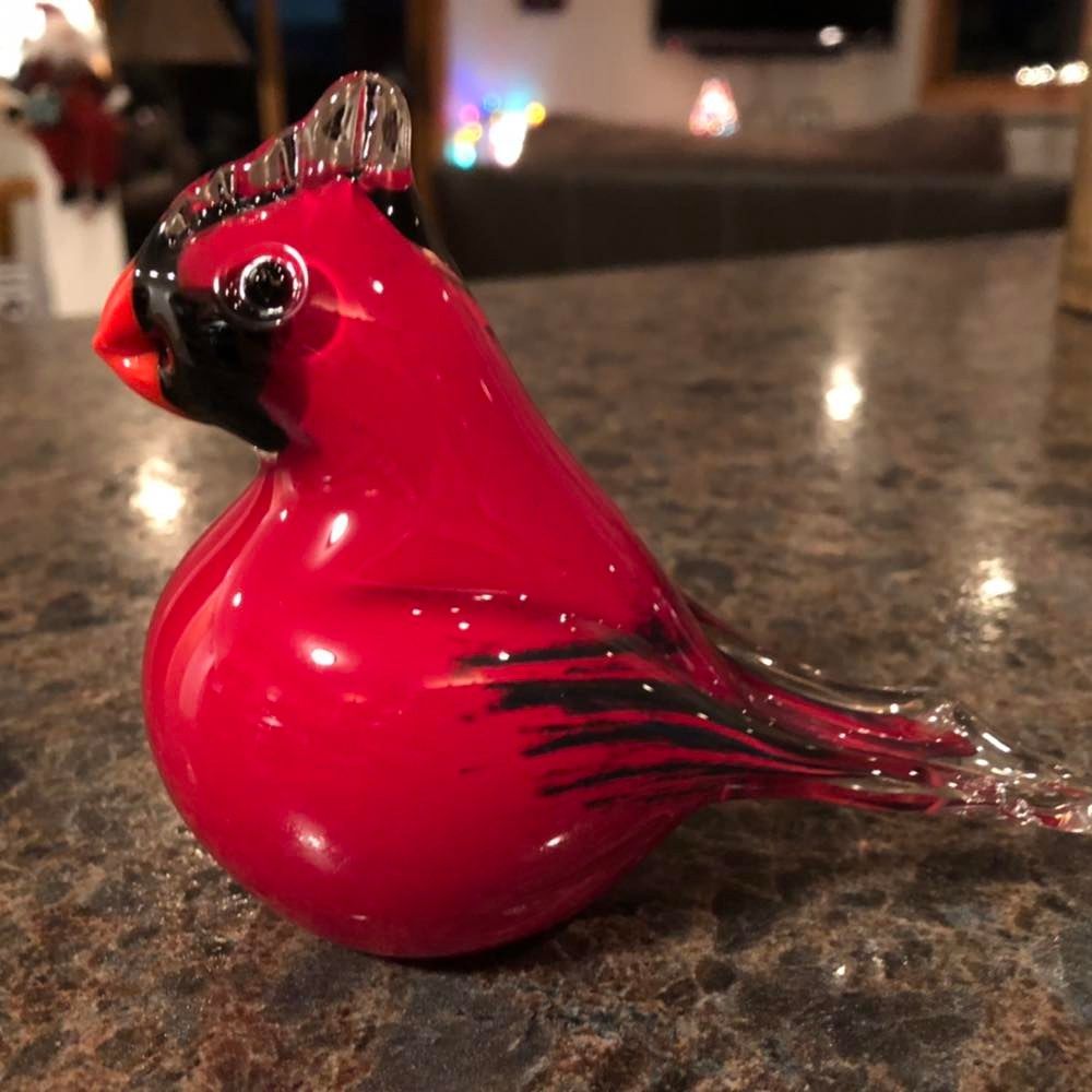 Customer photo review of Glass Cardinal with Infused Cremation Ashes