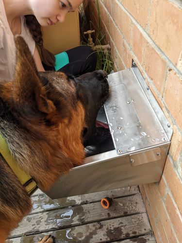 Customer photo review of Pet Rehydration Station