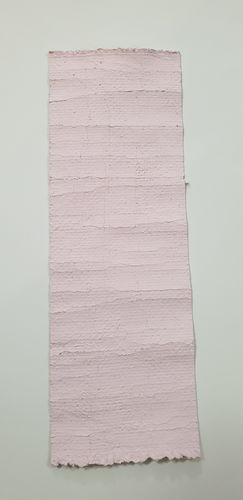 Customer photo review of Palmer Pink - One Step Paint