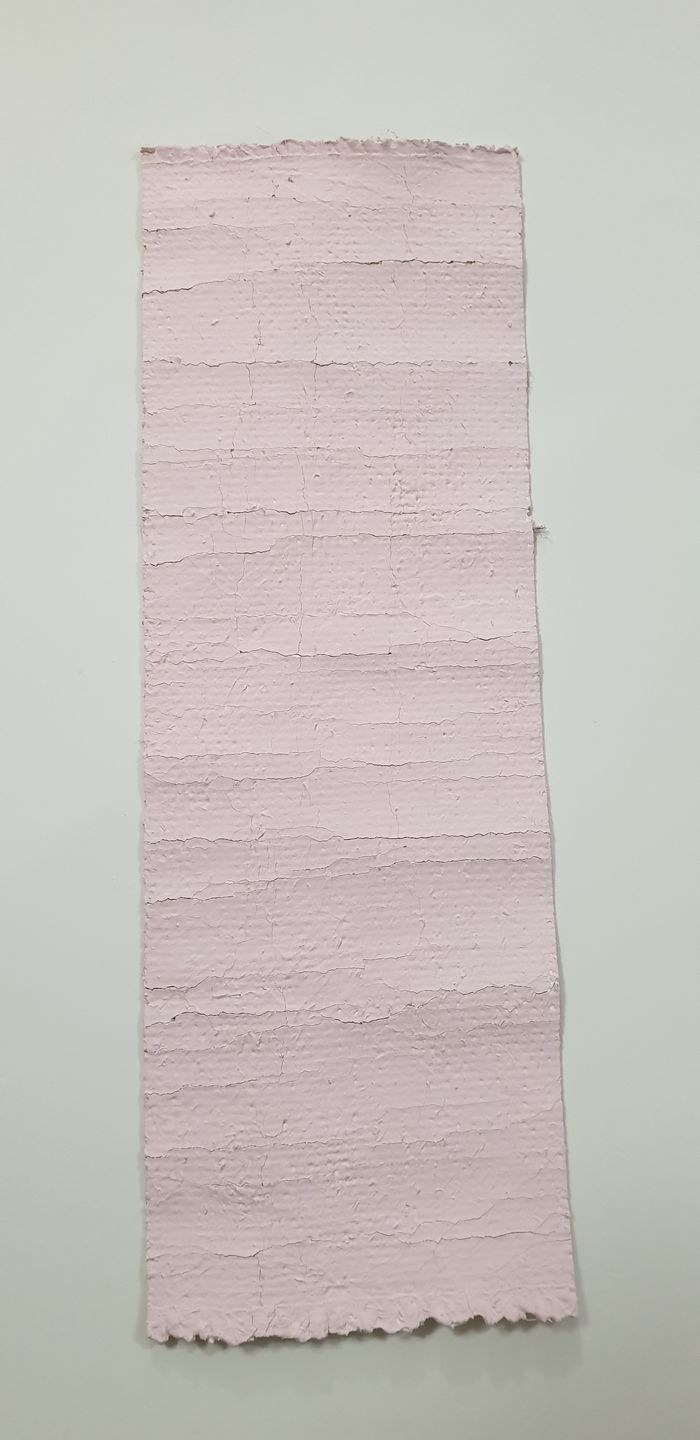 Customer photo review of Palmer Pink - One Step Paint