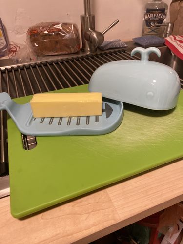 Customer photo review of Large Turquoise Whale Butter Dish - Set of 1