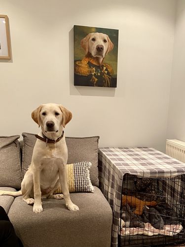 Customer photo review of The General – Custom Vintage Pet Canvas