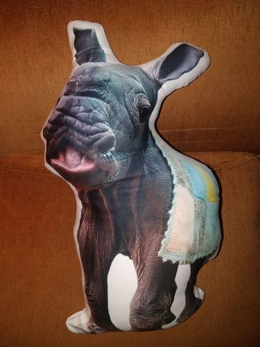 Customer photo review of Create A Custom Animal Pillow