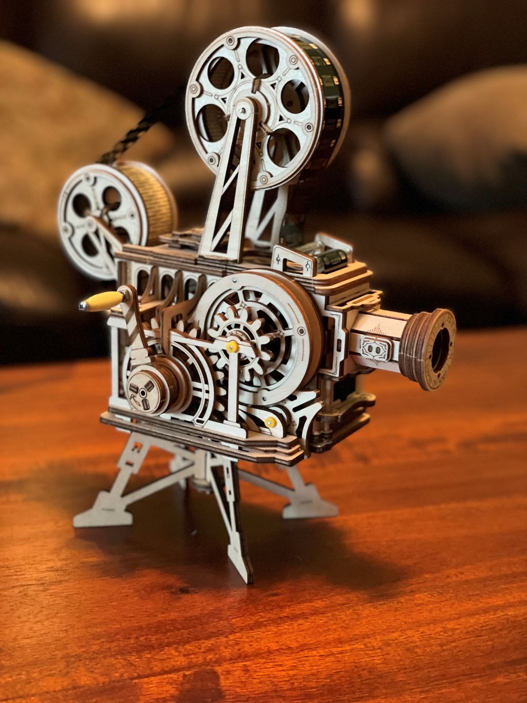 Customer photo review of retro Projector | Vitascope