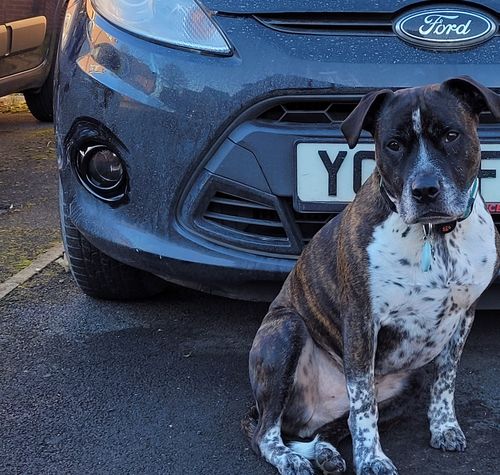 Customer photo review of Ford Fiesta MK7 - All Non ST Models (2008 to 2017)