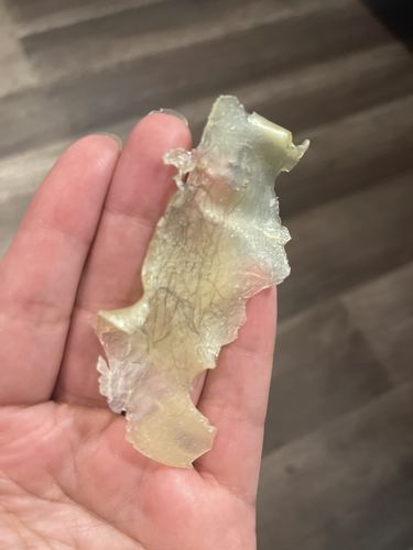 Customer photo review of Starter Honey Kit