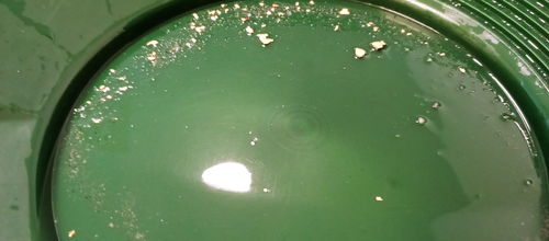 Customer photo review of Goldn Paydirt 'EUREKA' Panning Pay Dirt Bag Gold Paydirt Panning Unsearched