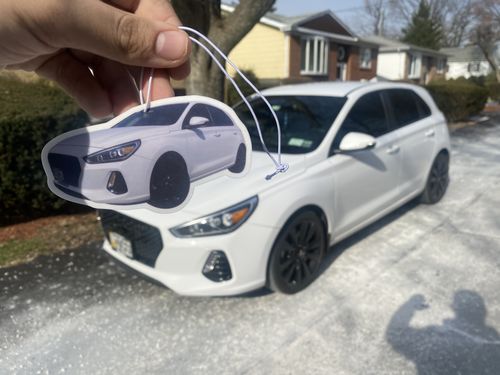 Customer photo review of One Custom Air Freshener