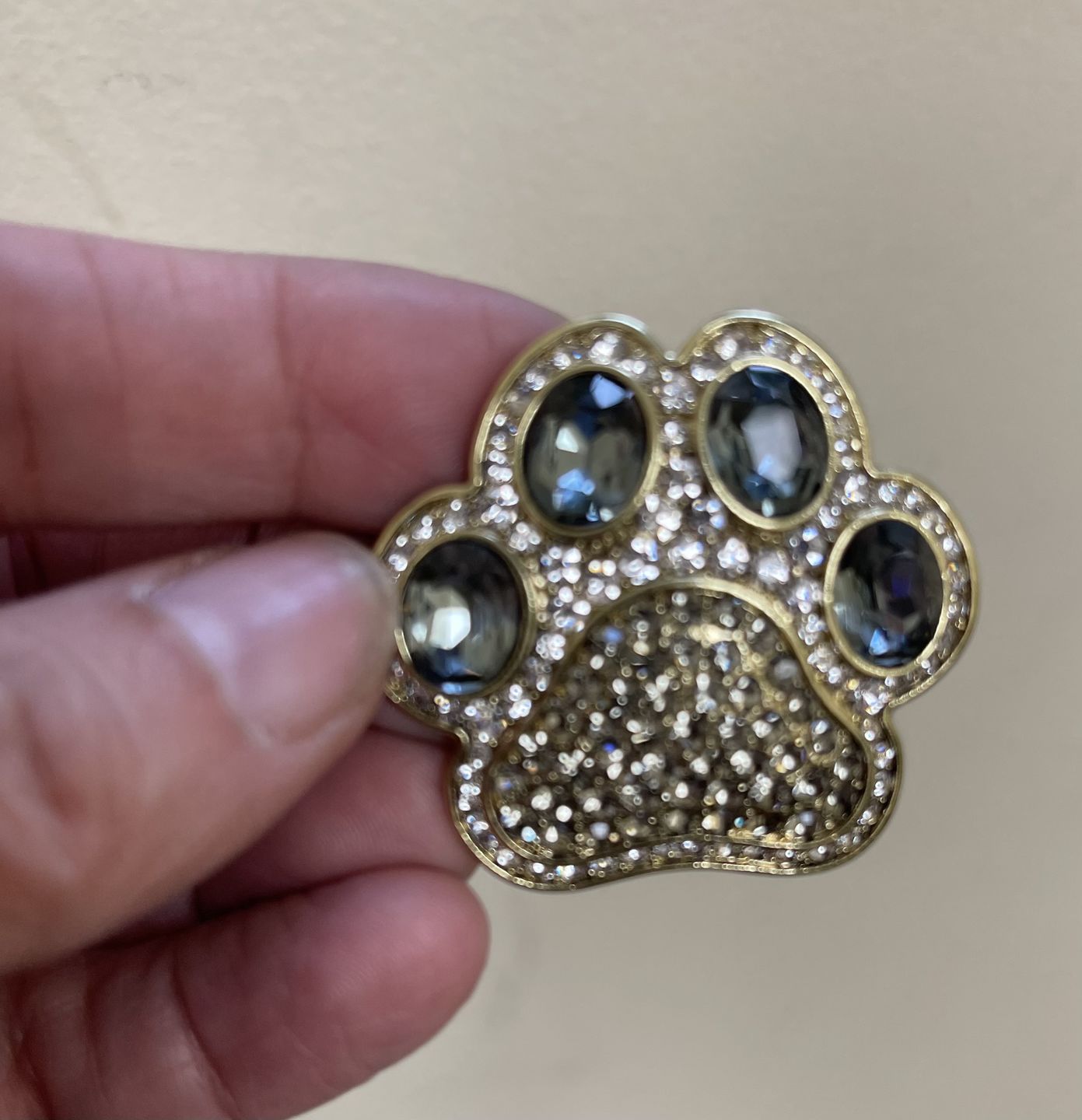 Customer photo review of HEIDI DAUS®"Pretty Paw Print" Crystal Paw Earring