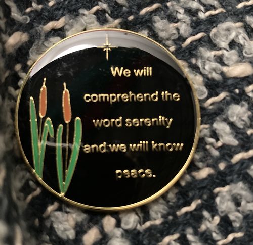 Customer photo review of 1 to 60 Year Dragonfly 9th Step Specialty AA Recovery Medallion - Tri-Plated Chip/Coin