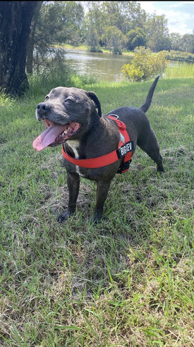 Customer photo review of Custom Name Patch