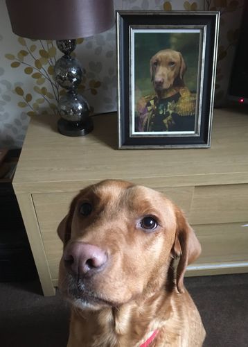 Customer photo review of The General - Custom Vintage Pet Portrait