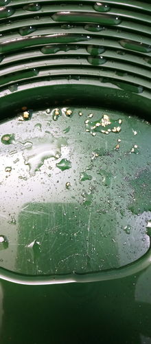 Customer photo review of Treasure Paydirt Surprise '300 GRAM GOLD HUNT' - Gold Paydirt Panning Concentrates