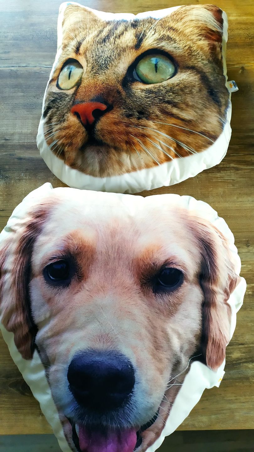 Customer photo review of Personalisiertes Tiergesichterkissen