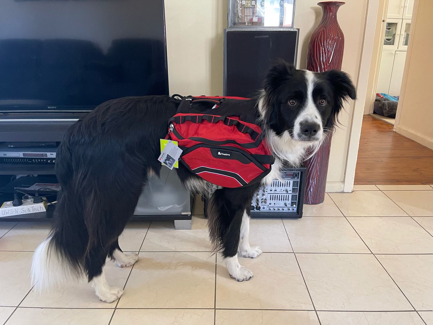 Customer photo review of Sac de bât pour chien Truelove