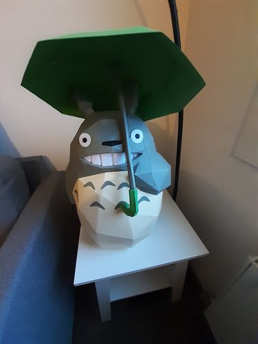 Customer photo review of Patrons Totoro (pdf)