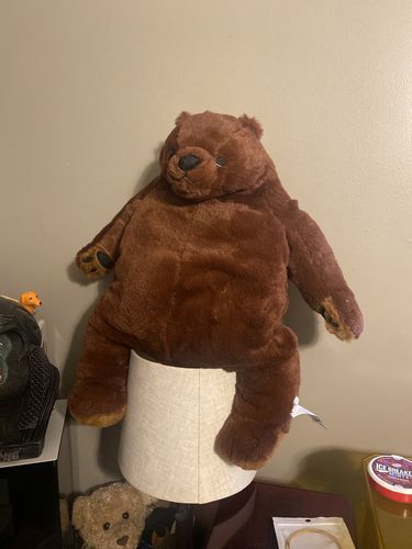 Customer photo review of SKOGGY BEAR