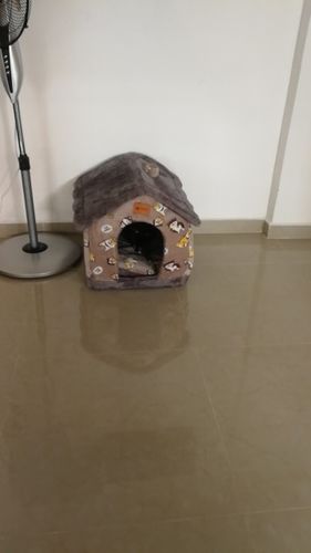 Customer photo review of Foldable Dog House Pet Cat Bed Winter Dog Villa Sleep Kennel Removable Nest Warm Enclosed Cave Sofa Pet Supply