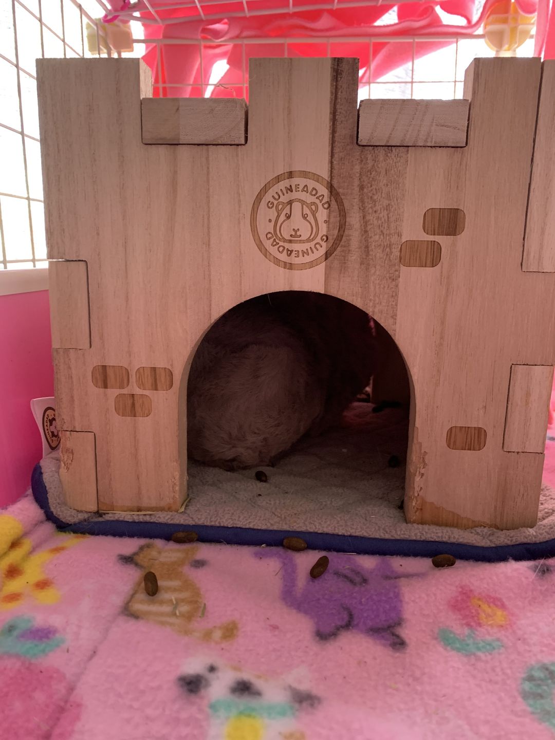 Customer photo review of GuineaDad Queen's Castle