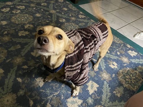 Customer photo review of Playa Poncho