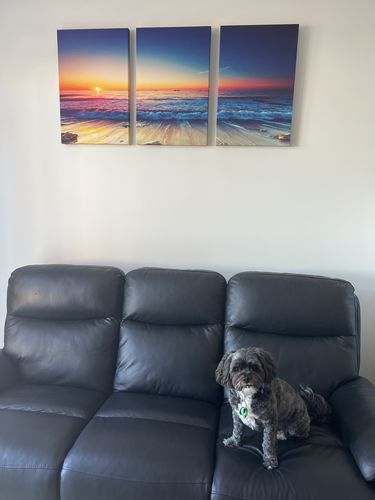 Customer photo review of Sunset Sands Trio