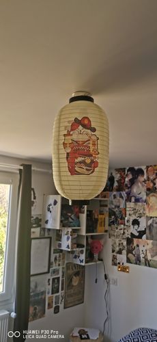 Customer photo review of Lanterne Japonaise Porte-Bonheur