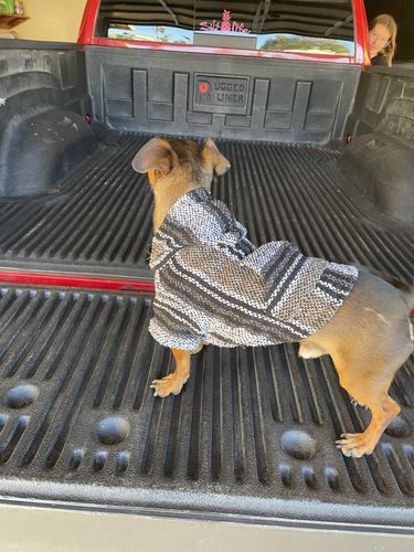 Customer photo review of Playa Poncho