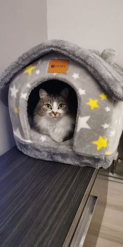 Customer photo review of Foldable Dog House Pet Cat Bed Winter Dog Villa Sleep Kennel Removable Nest Warm Enclosed Cave Sofa Pet Supply