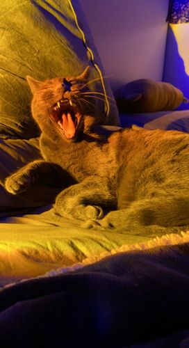 Customer photo review of The Sunset Lamp™