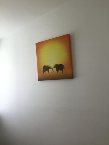 Customer photo review of In Love By Ben Heine