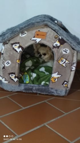 Customer photo review of Foldable Dog House Pet Cat Bed Winter Dog Villa Sleep Kennel Removable Nest Warm Enclosed Cave Sofa Pet Supply