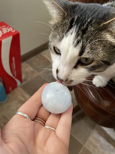 Customer photo review of Blue Calcite Palm Stone