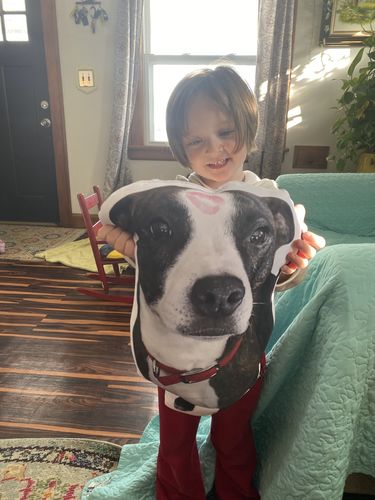 Customer photo review of Create A Custom Dog Pillow