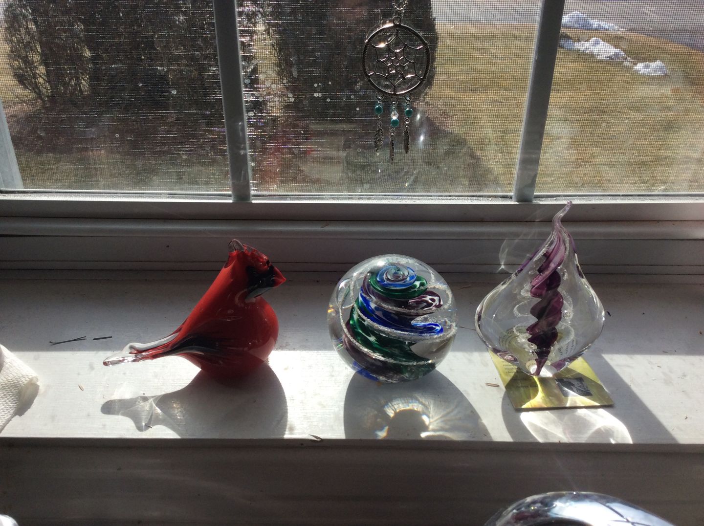 Customer photo review of Glass Cardinal with Infused Cremation Ashes