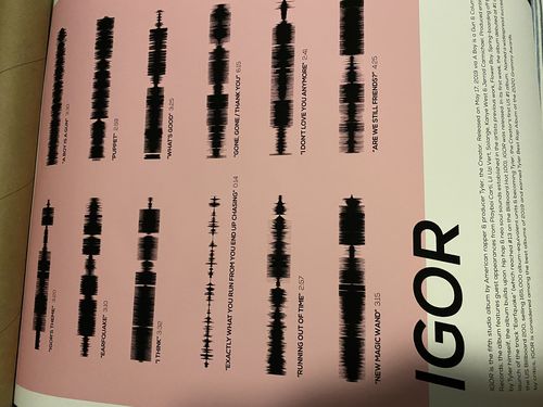 Customer photo review of "IGOR"