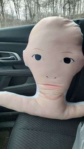 Customer photo review of Create A Custom Face Pillow