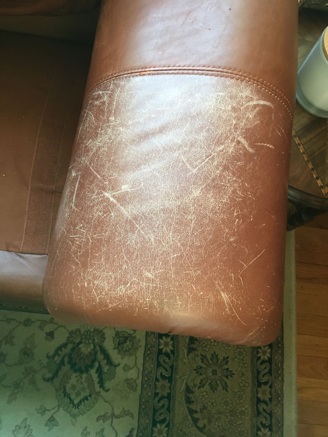 Customer photo review of Clyde's™ Leather Conditioning Cream