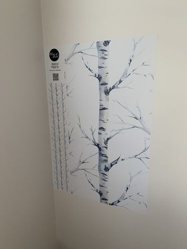 Customer photo review of Birch Trees Forest Wallpaper