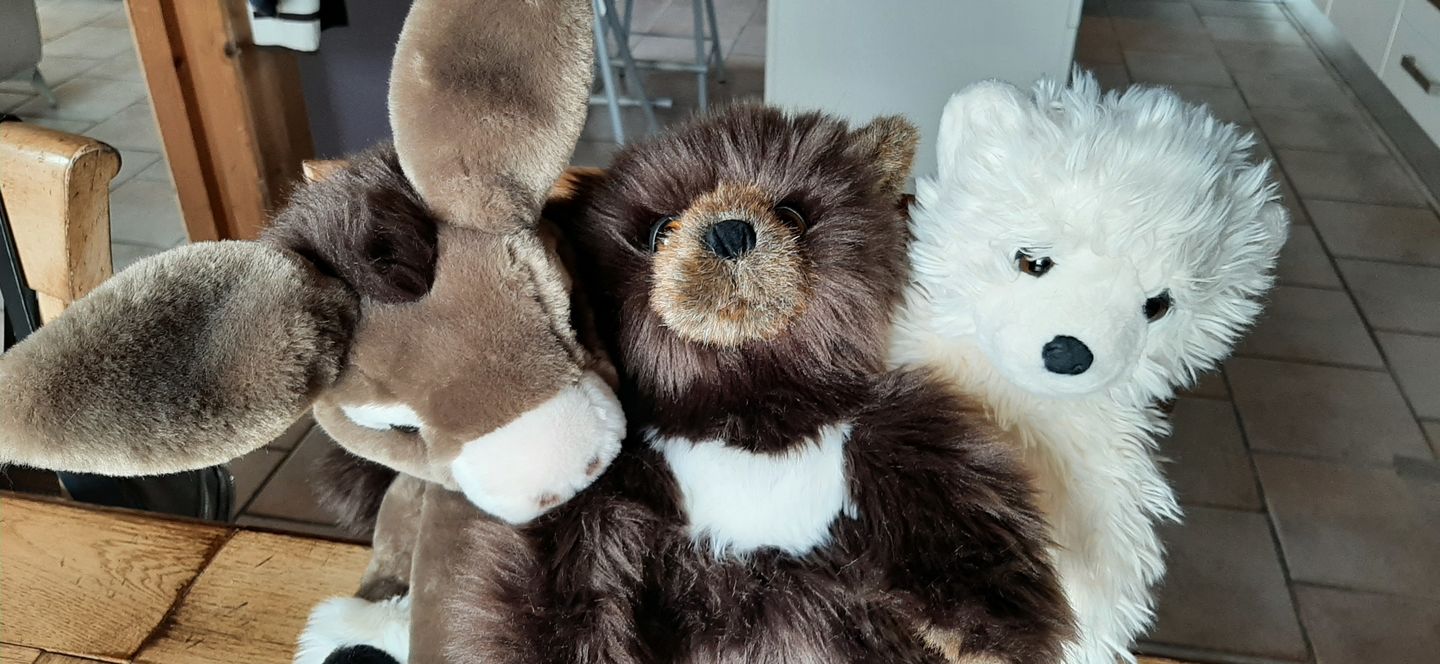 Customer photo review of Ma peluche Ours brun Gabin